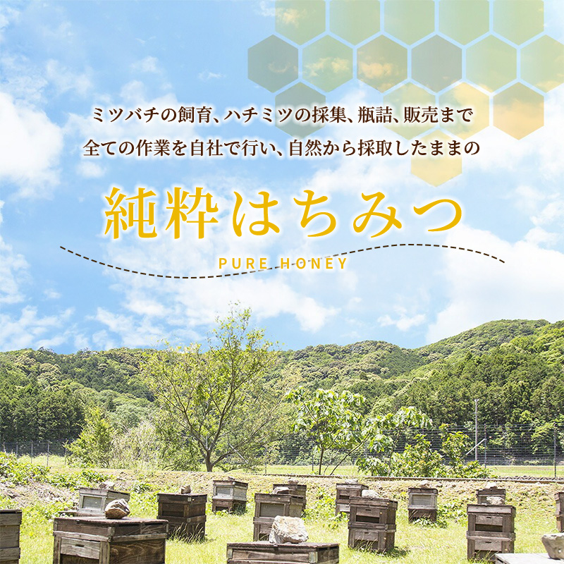 国産 はちみつ アカシア 500ｇ × 2本入り セット 長谷川養蜂 1kg 瓶 希少 純粋はちみつ ハチミツ 蜂蜜 honey 蜜 ヨーグルト 朝食 ハニー 三重県 南伊勢町