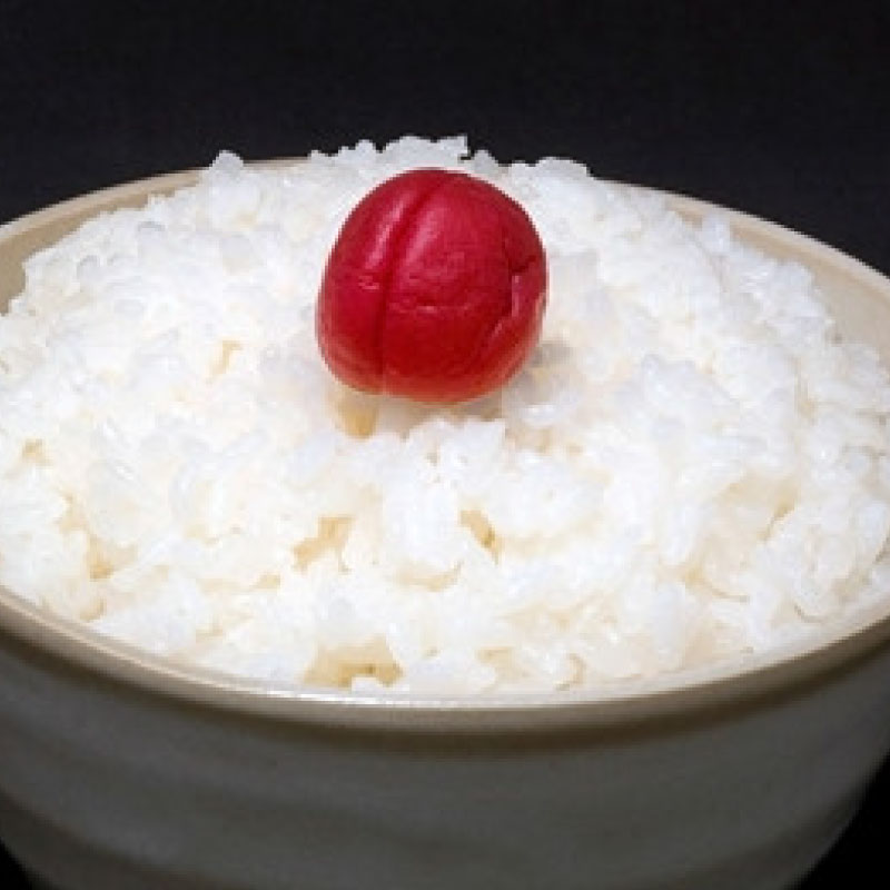 梅 約 5kg 3L うめ 生梅 青梅 旬 期間限定 梅酒 梅干し 梅干 ジャム シロップ ジュース 五ヶ所小梅 三重県 南伊勢町 伊勢 志摩 JA伊勢