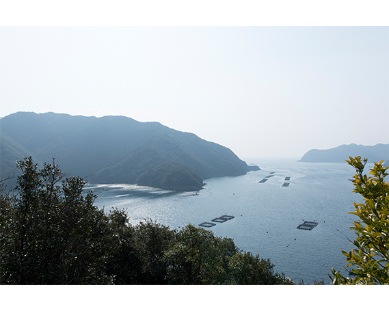 【冷凍】いにしえの牛肉　ロースしゃぶしゃぶ（CAS凍結）約500g ／特産　ブランド牛　希少　三重県