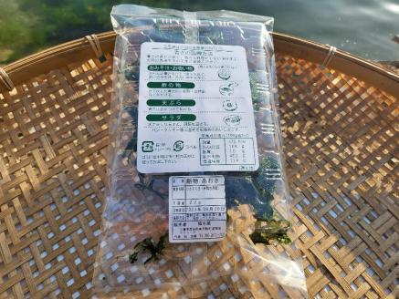 （冷蔵） 鯛めし あおさ セット A 各 1袋 城水産 鯛 真鯛 たい まだい tai 新物 あおさ海苔 海苔 のり 海藻 海草 香り 味噌汁 みそ汁 天ぷら 魚 魚介 海鮮 海産物 海 お手軽 産地直送 国産 三重 南伊勢 伊勢志摩