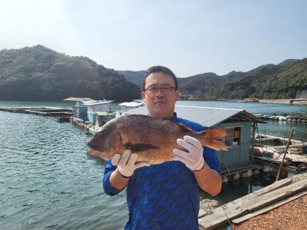 （冷蔵） 鯛 セット 1匹 700g 以上 鯛めし 鯛みりん干し 各 1個 城水産 真鯛 まだい たい tai 刺し身 刺身 塩焼き 丸焼き 煮付け 干物 ひもの 魚介 海鮮 海産物 海 お手軽 産地直送 国産 三重 南伊勢 伊勢志摩