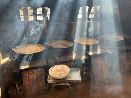 真珠の塩　P2　300ｇ入×1袋　容器付き／真珠塩　塩　天然塩　ミネラル　しお　伊勢志摩　三重　南伊勢