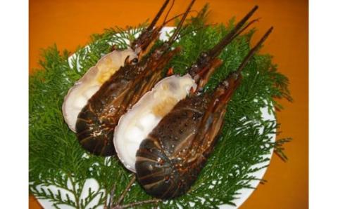 （冷凍） 伊勢志摩産 活〆半割り 伊勢海老 2尾 詰め合わせ 生食用 ／ 丸池 伊勢えび イセエビ 海の幸 三重県 南伊勢町 伊勢志摩