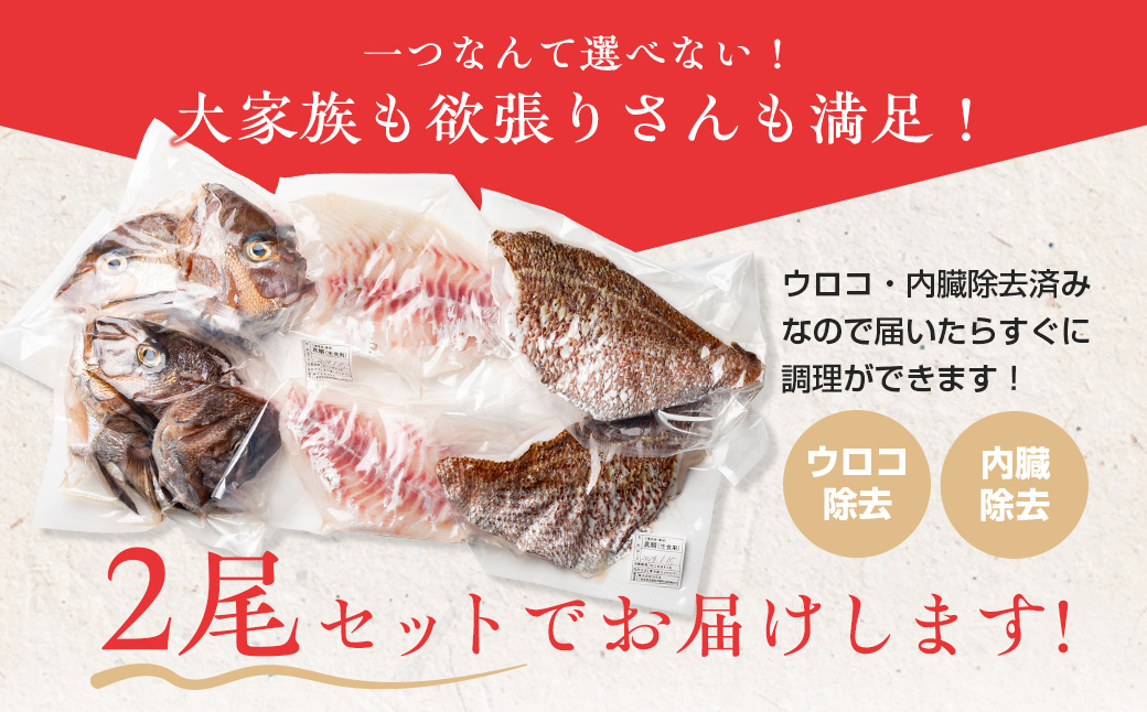 （冷蔵）【２尾】ジュワっと旨み溢れるブランド真鯛 スキンレス 皮あり ／ はさま あなたに逢い鯛。 鯛 真鯛 刺身 しゃぶしゃぶ 鯛めし 三重県 南伊勢町 伊勢志摩