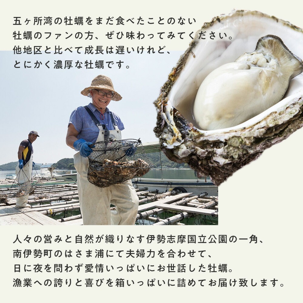 牡蠣 〈訳あり〉冷蔵 殻付き 牡蠣 1.7kg 三重産 不揃い カキ かき 加熱用 カキフライ 牡蠣鍋 蒸し牡蠣 カキ 真牡蠣 BBQ 浜焼き バーベキュー 新鮮 海鮮 魚介 国産 取り寄せ グルメ 料理 オイスター おつまみ お弁当 おかず 惣菜 グラタン バーベキュー ごはん 伊勢 志摩 三重県 南伊勢町 10000円 10000円以下 1万円以下