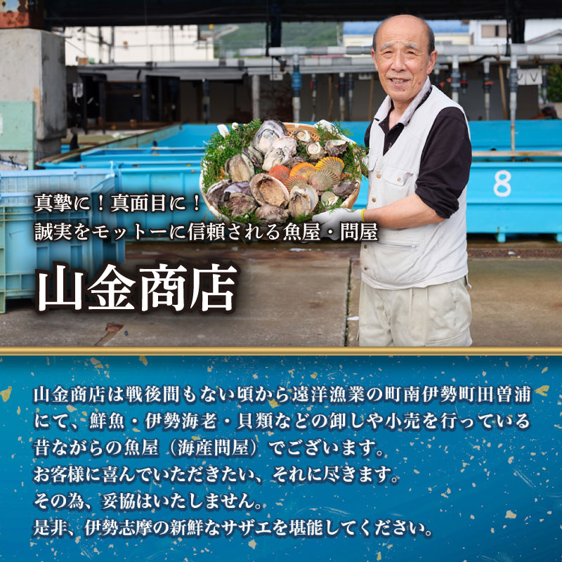サザエ 1kg 8ヶ～12ヶ 冷蔵 新鮮 海鮮 海産物 魚介 魚貝 活きサザエ 栄螺 貝 刺身 刺し身 お造り つぼ焼き 壺焼き グリル BBQ バーベキュー キャンプ 夏 ギフト 贈り物 三重 伊勢 志摩 南伊勢町 山金商店 活きサザエAコース