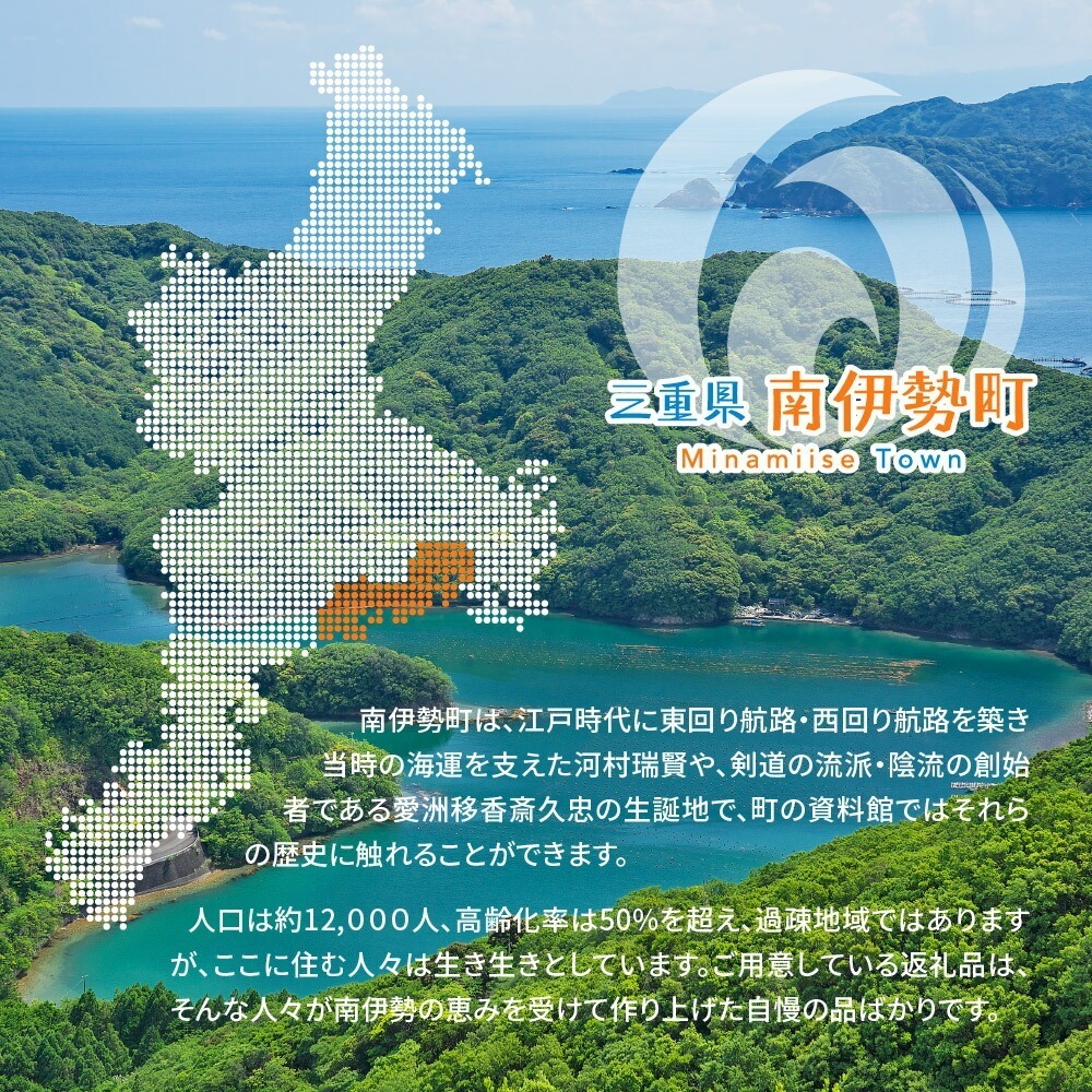（冷蔵） Cコース 岩牡蠣 MSサイズ 9個 三重産 カキ かき 加熱用 カキフライ 牡蠣鍋 蒸し牡蠣 カキ BBQ 浜焼き バーベキュー 新鮮 海鮮 魚介 国産 取り寄せ グルメ 料理 オイスター おつまみ お弁当 おかず 惣菜 グラタン バーベキュー ごはん 伊勢 志摩 三重県 南伊勢町 30000円 三万円