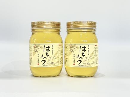 国産 はちみつ アカシア 500ｇ×2本入り セット ／ 長谷川養蜂 1kg 非加熱 瓶 希少 純粋はちみつ ハチミツ 蜂蜜 ハニー 三重県  南伊勢町: 南伊勢町ANAのふるさと納税