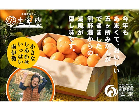 みかん 五ヶ所みかん 1箱 3kg 甘くておいしい ミカン 蜜柑 柑橘 果物 フルーツ 甘い 甘味 mikan 三重県 南伊勢町 伊勢志摩産