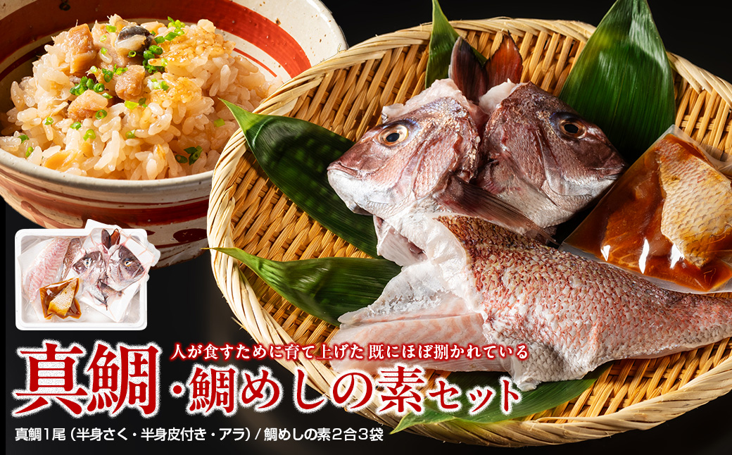 （冷蔵） 人が食すために育てられほぼ捌かれている 真鯛・鯛めしの素 セット ／ 友栄水産 鯛 真鯛 鯛めし お刺身 炙り 塩焼き 煮つけ 伊勢志摩 三重県 南伊勢町