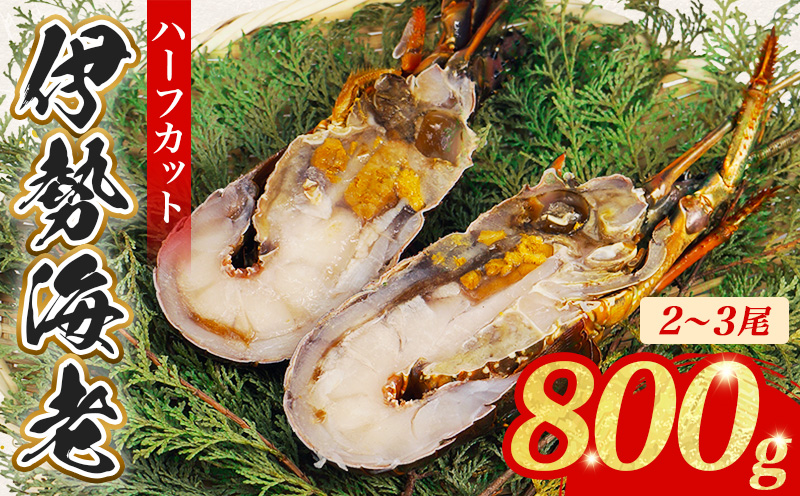 （冷凍） 簡単調理 伊勢海老 800g ハーフカット 処理済み イセエビ 海老 えび 伊勢 エビ 伊勢エビ 海宝水産 贅沢 高級 簡単調理 バーベキュー BBQ 鉄板焼 海鮮 ギフト 国産 三重県 南伊勢町