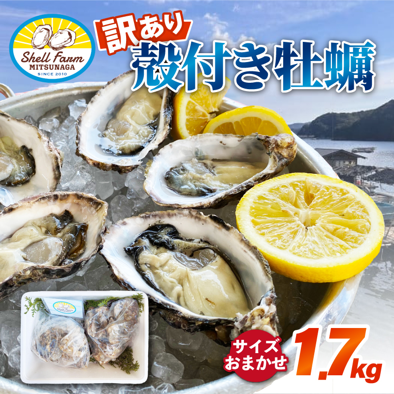 牡蠣 〈訳あり〉冷蔵 殻付き 牡蠣 1.7kg 三重産 不揃い カキ かき 加熱用 カキフライ 牡蠣鍋 蒸し牡蠣 カキ 真牡蠣 BBQ 浜焼き バーベキュー 新鮮 海鮮 魚介 国産 取り寄せ グルメ 料理 オイスター おつまみ お弁当 おかず 惣菜 グラタン バーベキュー ごはん 伊勢 志摩 三重県 南伊勢町 10000円 10000円以下 1万円以下