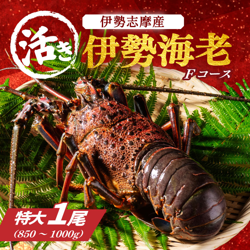 特大 活き 伊勢海老 F コース 1尾 850～1000g 山金商店 伊勢えび エビ 高級 グルメ 焼き物 汁物 海鮮 特産 海の幸 魚介 海老 伊勢志摩