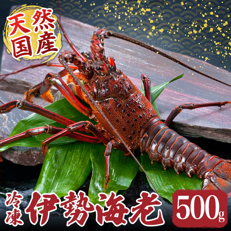 冷凍 伊勢海老 約500g 伊勢えび 産地直送 天然 国産 海鮮 新鮮 三重県 南伊勢 伊勢 志摩