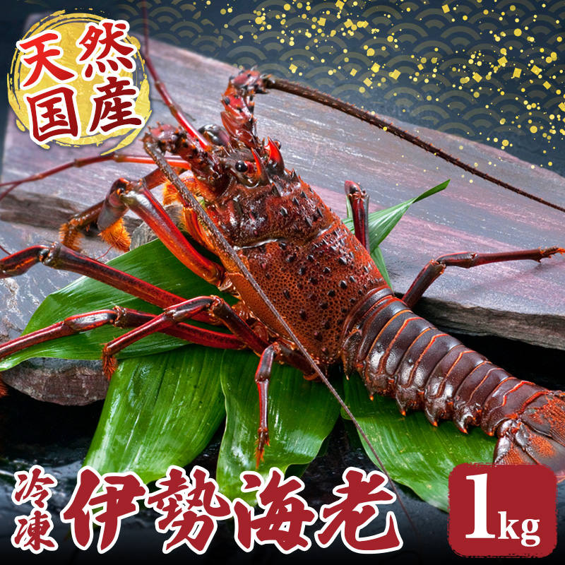 冷凍 伊勢海老 約1kg 伊勢えび 産地直送 天然 国産 海鮮 新鮮 三重県 南伊勢 伊勢 志摩