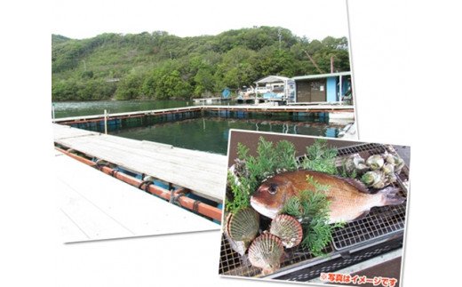 釣り チケット 8名 貸し切り お土産 付き 城水産 釣堀 釣り堀 魚釣り つり フィッシング 筏釣り 観光 旅行 アクティビティ 家族 子供 子ども 利用券 体験 鯛 たい 魚 魚介 海鮮 海産物 海 刺し身 三重 南伊勢 伊勢志摩