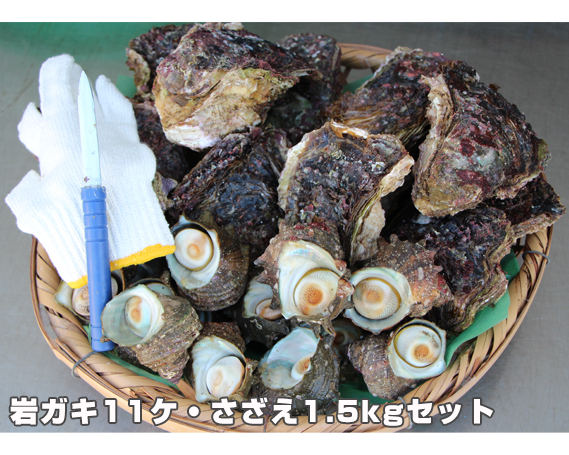 [冷蔵]岩ガキ・さざえ 約7kg〜約7.5kg 豪華セット/貝 牡蠣 かき バーベキュー 伊勢志摩産