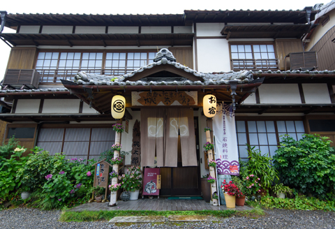 【宿泊割引券】酒蔵と地魚の宿  桃太郎