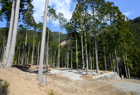 うぐいすの森キャンプ場 【宿泊利用券(割引券)】