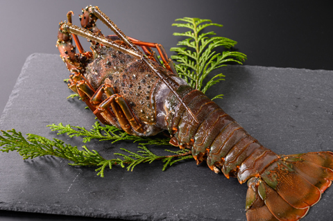 おいしい海の縁起物【鯛燻製・活冷伊勢えび・味付あわび】詰合せ
