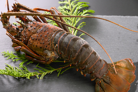 おいしい海の縁起物【鯛燻製・活冷伊勢えび・味付あわび】詰合せ