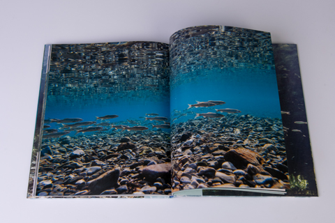 銚子川の写真集『青の川』1冊