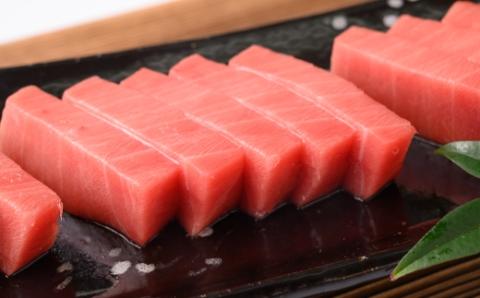 本マグロ食べ比べセット（大トロ・中トロ・赤身）おすすめ返礼品