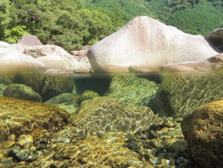 銚子川の水  500ml(24本入)  銚子川の写真集『青の川』1冊
