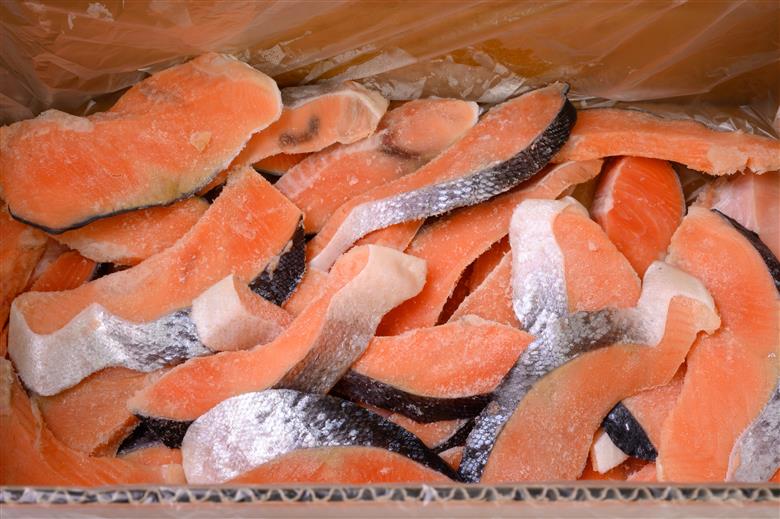 鮭切り身〈約2kg〉最速2週間でお届け！フレーク 塩 海鮮 規格外 不揃い さけ サケ 切身 シャケ 切り身 冷凍 家庭用 レシピ ムニエル ちゃんちゃん焼き 訳アリ おかず 弁当 家計応援 サーモン 魚 わけあり【MS03】