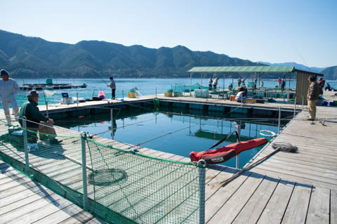 海上釣り堀貞丸の無料招待券