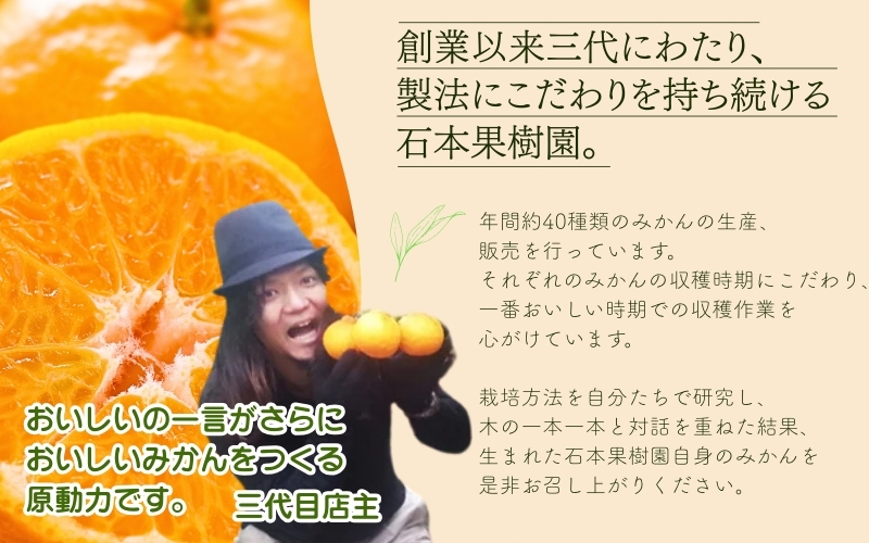 【先行予約】石本果樹園の美味しい麗紅（レイコウ）約3kg 18から20玉前後【2026年2月中旬から3月中旬までに順次発送】【min003B】