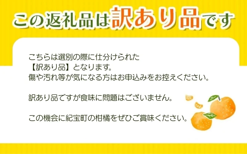 【先行予約】【訳あり】石本果樹園の美味しい温州みかん 約4.5kg 35～40玉前後【2025年11月初旬から1月下旬までに順次発送】【min020】