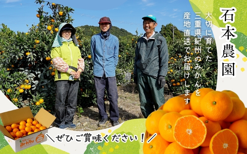 M以上の優品 石本農園のカラオレンジ約4kg【2026年4月初旬から下旬までに順次発送】/ みかん ミカン 蜜柑 カラ カラオレンジ【mis008A】