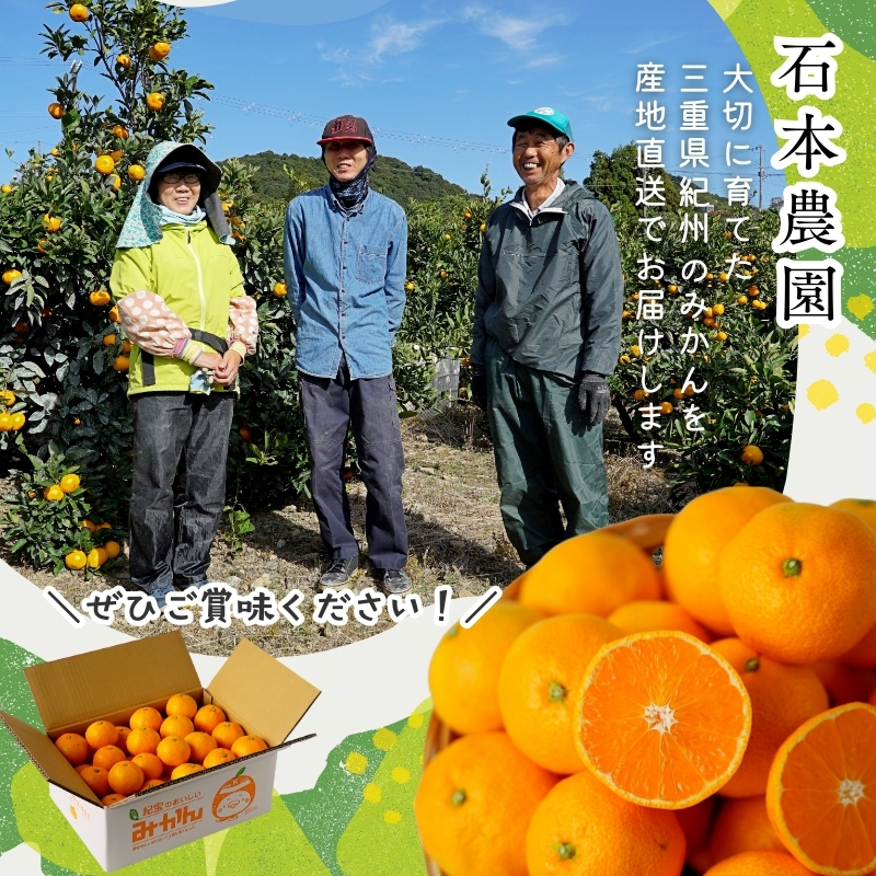 訳あり S-3L サイズおまかせ 石本農園のポンカン 4.5kg 【2026年1月中旬から2026年2月中旬頃までに順次発送】/ みかん ミカン 蜜柑 ぽんかん 訳あり おまかせ【mis016】