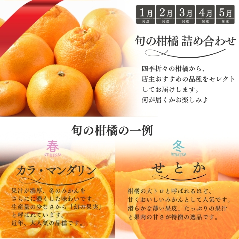 【全12回】 柑橘 定期便 石本果樹園 店主おすすめの柑橘セットを毎月お届け！ / みかん フルーツ定期便 みかん フルーツ定期便 みかん フルーツ定期便 みかん フルーツ定期便 みかん フルーツ定期便 みかん フルーツ定期便 みかん フルーツ定期便 みかん フルーツ定期便 みかん フルーツ定期便 みかん フルーツ定期便 みかん フルーツ定期便 みかん フルーツ定期便 みかん フルーツ定期便 みかん フルーツ定期便 みかん【tkb507】