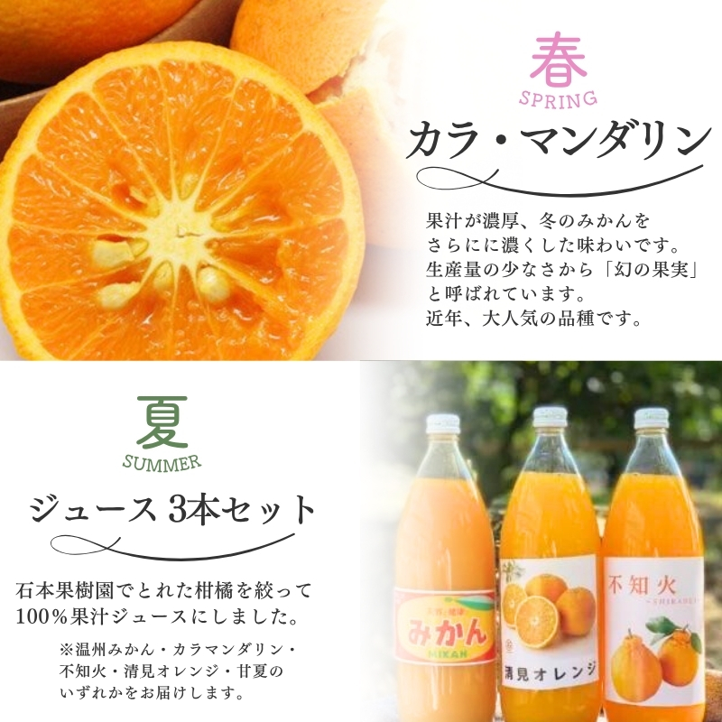 【全4回】 柑橘 定期便 石本果樹園 旬の柑橘を春夏秋冬でお届け！ / みかん フルーツ定期便 みかん フルーツ定期便 みかん フルーツ定期便 みかん フルーツ定期便 みかん フルーツ定期便 みかん フルーツ定期便 みかん フルーツ定期便 みかん フルーツ定期便 みかん フルーツ定期便 みかん フルーツ定期便 みかん フルーツ定期便 みかん フルーツ定期便 みかん フルーツ定期便 みかん フルーツ定期便 みかん【tkb508】