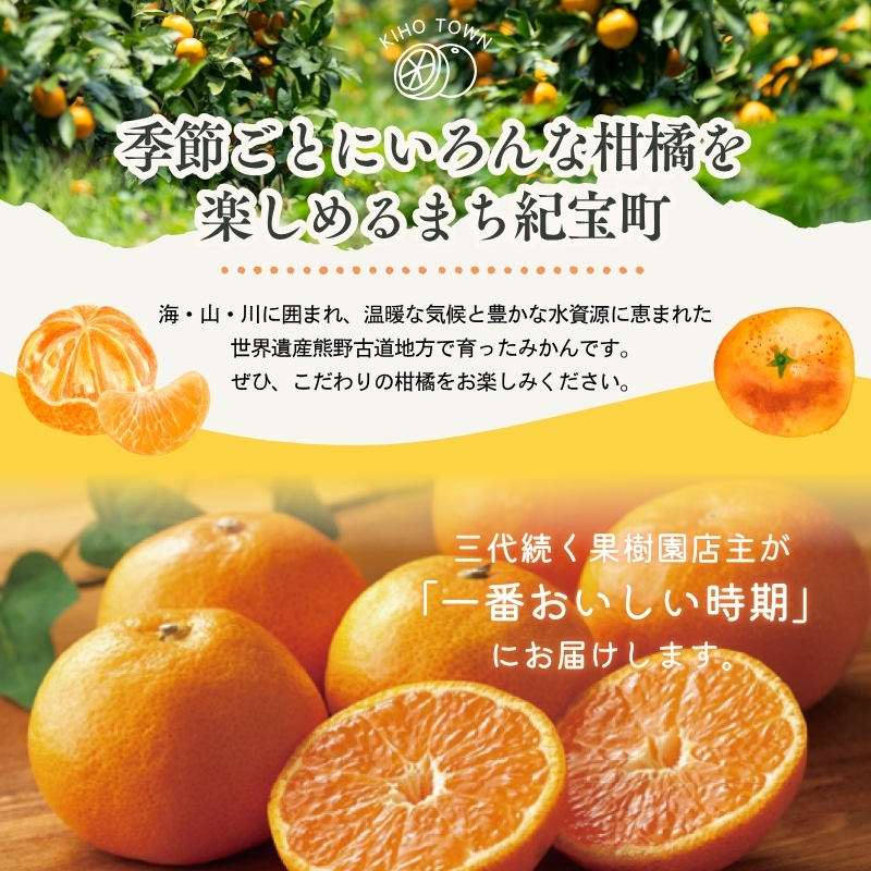 【全10回】 柑橘定期便 石本果樹園 店主おすすめの柑橘セットを毎月お届け！【tkb509】