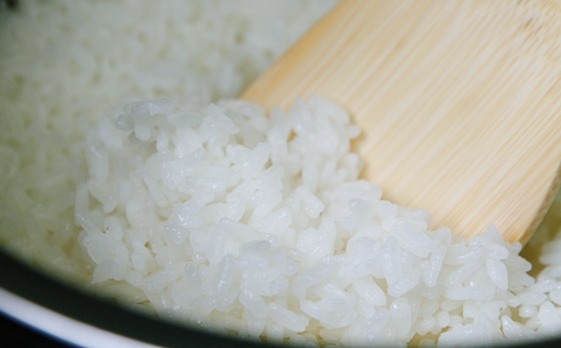 【先行予約】2025年産 有機栽培 コシヒカリ 紀生(きりゅう) 5kg 【2025年9月下旬～順次発送】 / 米 米 米 米 米 米 米 米 米 米 米 米 米 米 米 米 米 米 米 米 米 米 米 米 米 米 米 米 米 米 米 米 米 米 米 米 米 米 米 米 米 米 米 米 米 米 米 米 米 米 米 米 米 米 米 米 米 米 米 米 米 米 米 米 米 米 米 米 米 米 米 米 米 米 米 米 米 米 米 米 米 米 米 米【rnm001C】