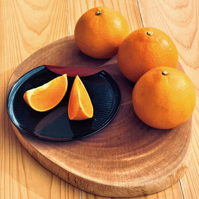 【先行予約】Lから3Lのサイズ混合 橋本農園のハウスせとか 10kg 【2024年2月初旬から2月末までに順次発送】【mht002】