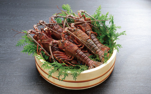 海 の 幸 とお 肉 を 堪能 できる ぜいたく 定期便【合計6回】 / 冷凍 肉 牛肉 えび 伊勢えび エビ 干物 しゃけ 鮭 鯖 ローストビーフ 牛 小分け 味 焼き肉 焼肉【tkb149】