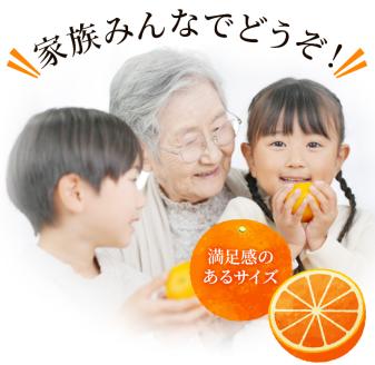 ご家庭用 たにぐち農園の せとか 4.5kg 大小混合【2026年3月から4月上旬までに順次発送】 / せとか せとか せとか せとか せとか せとか せとか せとか せとか せとか せとか せとか せとか せとか せとか せとか せとか せとか せとか せとか せとか せとか せとか せとか せとか せとか せとか せとか せとか せとか せとか せとか せとか せとか せとか せとか みかん みかん みかん みかん みかん【mtn012C】