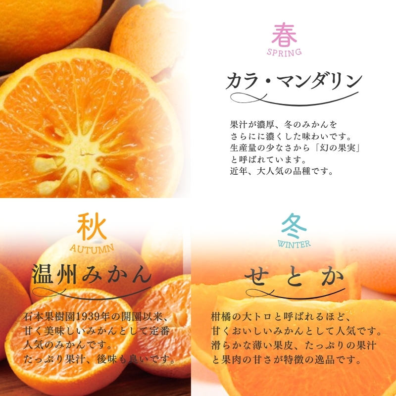 【全3回】 柑橘定期便 石本果樹園 旬の柑橘を春秋冬でお届け！【tkb510】