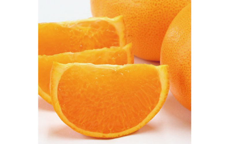 【先行予約】石本果樹園の美味しいせとか 約2.5kg 9～15玉前後【2024年2月中旬から3月中旬までに順次発送】【min004A】