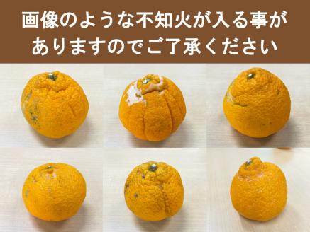 ＼ 受付は3月8日まで！！／ご家庭用  訳あり 不知火 7kg 18～35玉 大小混合 【2024年2月初旬から3月下旬までに順次発送致します。】【njb671A】