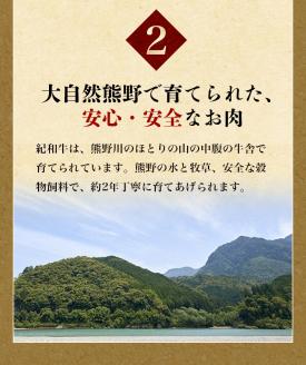 紀和牛 サーロインステーキ 3枚セット【冷蔵】 / 牛肉 ステーキ 牛肉 ステーキ 牛肉 ステーキ 牛肉 ステーキ 牛肉 ステーキ 牛肉 ステーキ 牛肉 ステーキ 牛肉 ステーキ 牛肉 ステーキ 牛肉 ステーキ 牛肉 ステーキ 牛肉 ステーキ 牛肉 ステーキ 牛肉 ステーキ 牛肉 ステーキ 牛肉 ステーキ 牛肉 ステーキ 牛肉 ステーキ 牛肉 ステーキ 牛肉 ステーキ 牛肉 ステーキ 牛肉 ステーキ 牛肉 ステーキ 牛肉 ステーキ 牛肉【tnk101-1】