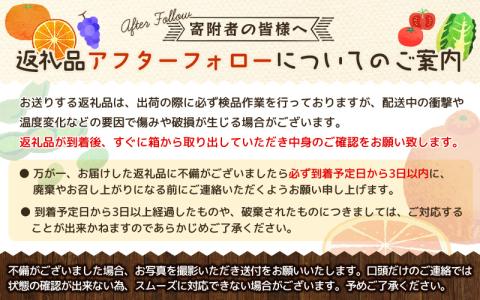 訳あり品 サイズ混合 ご家庭用 岡農園のセミノール9kg【2025年3月下旬から4月下旬までに順次発送】 オレンジ【mok004B】