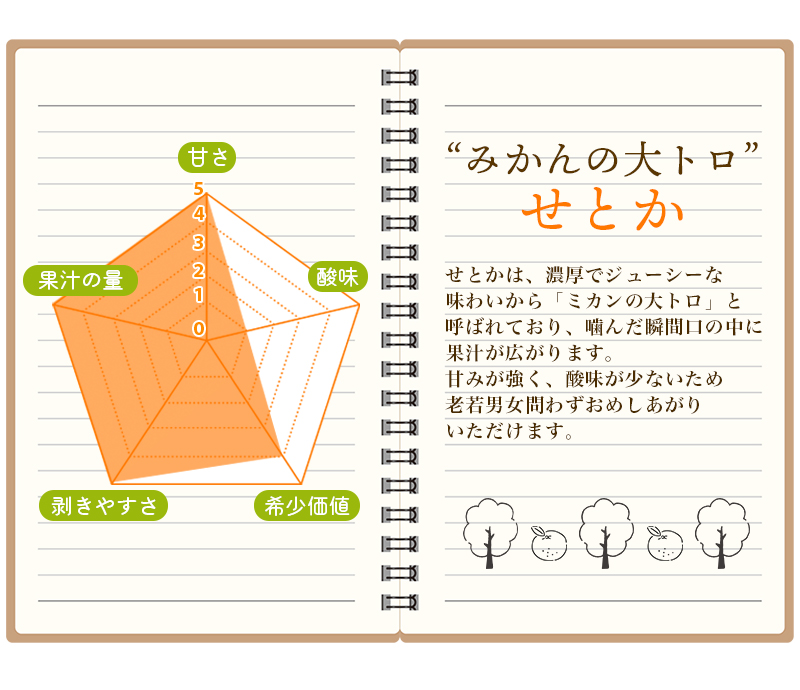 訳あり せとか 約3.5kg＋200g (傷み補償分) 大小混合 【2026年2月下旬から順次発送】 ご家庭用 家庭用 わけあり 訳アリ みかん ミカン フルーツ 果物 くだもの 柑橘 せとか 蜜柑 人気 予約 先行予約 数量限定【njb682】