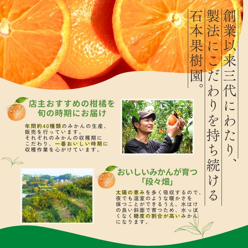 【全4回】 柑橘 定期便 石本果樹園 旬の柑橘を春夏秋冬でお届け！ / みかん フルーツ定期便 みかん フルーツ定期便 みかん フルーツ定期便 みかん フルーツ定期便 みかん フルーツ定期便 みかん フルーツ定期便 みかん フルーツ定期便 みかん フルーツ定期便 みかん フルーツ定期便 みかん フルーツ定期便 みかん フルーツ定期便 みかん フルーツ定期便 みかん フルーツ定期便 みかん フルーツ定期便 みかん【tkb508】