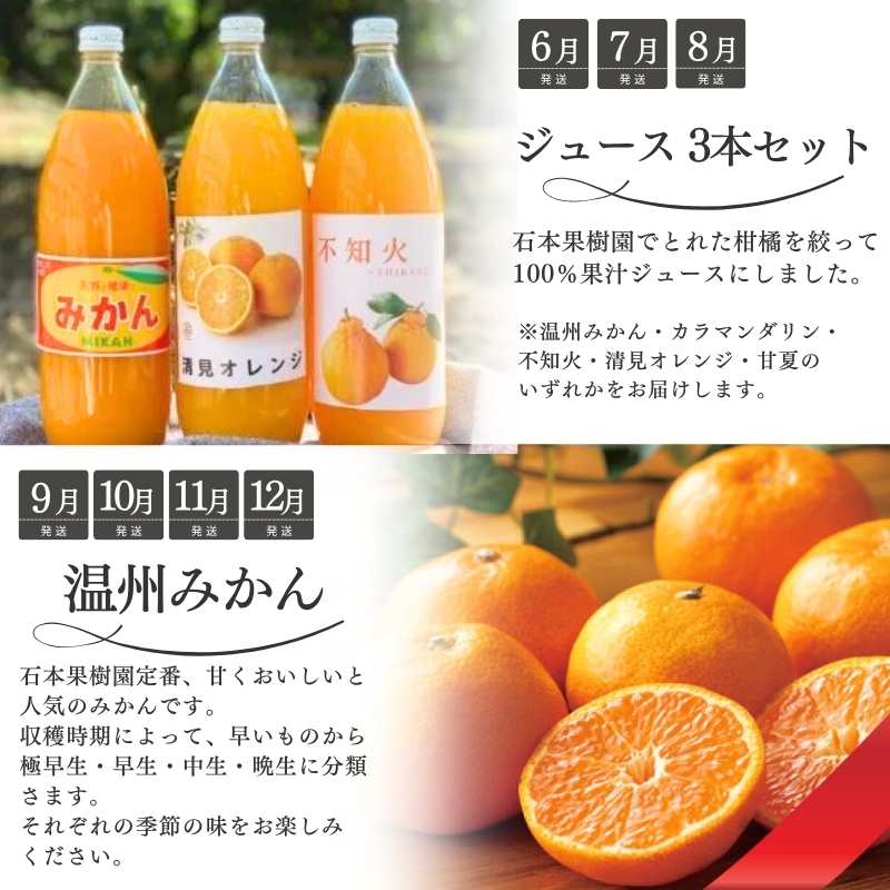 【全10回】 柑橘定期便 石本果樹園 店主おすすめの柑橘セットを毎月お届け！【tkb509】