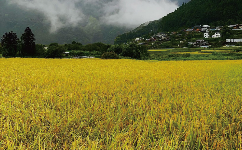 数量限定 飛雪米 結びの神 2kg / / 米 米 米 米 米 米 米 米 米 米 米 米 米 米 米 米 米 米 米 米 米 米 米 米 米 米 米 米 米 米 米 米 米 米 米 米 米 米 米 米 米 米 米 米 米 米 米 米 米 米 米 米 米 米 米 米 米 米 米 米 米 米 米 米 米 米 米 米 米 米 米 米 米 米 米 米 米 米 米 米 米 米 米 米【hsj001A】